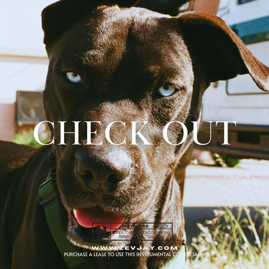 CHECK OUT